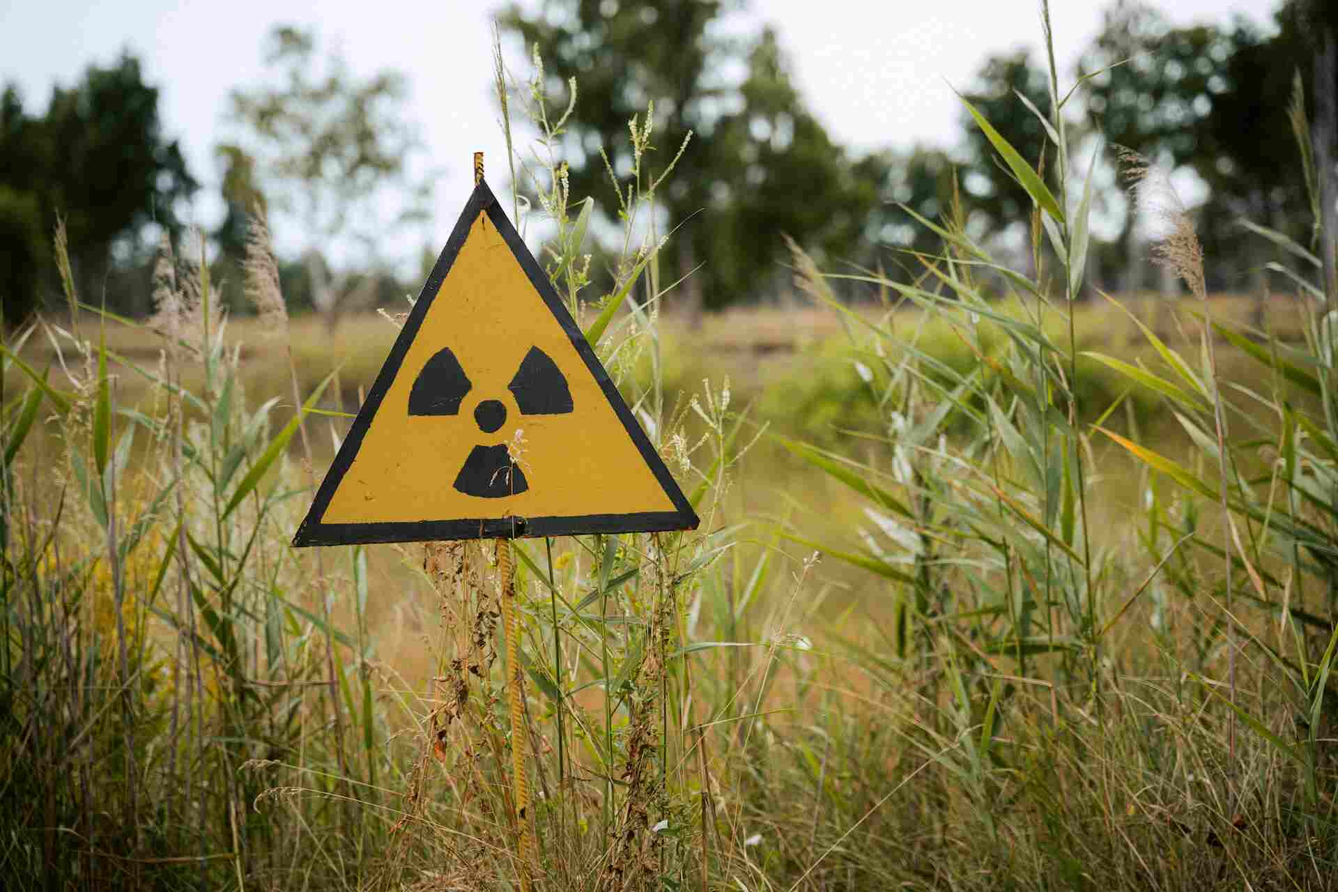 Risk Analysis: в Университете Отаго перечислены 5 стран, которые смогут пережить ядерную зиму