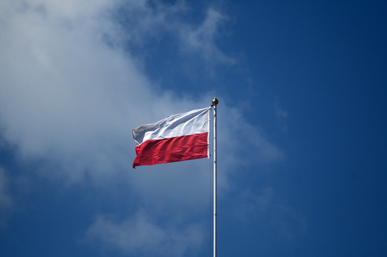 NPD: Зеленский пообещал Польше территории Западной Украины в обмен на помощь против ВС РФ
