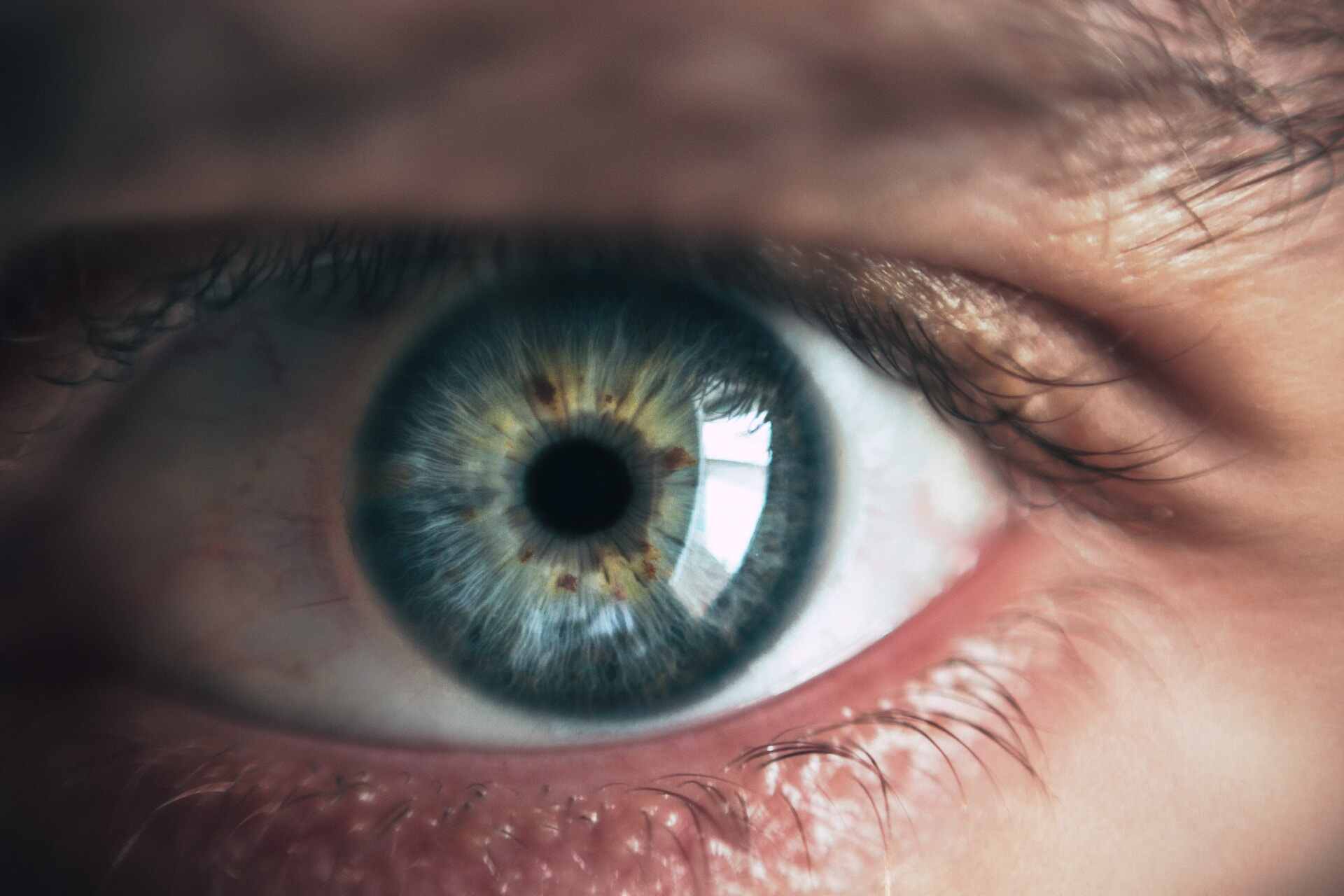 В США нашли метод определения ранних симптомов деменции по глазам человека