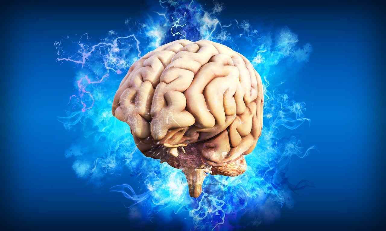 Time: Эксперты медцентра Лэнгон выяснили, как COVID-19 воздействует на мозг человека