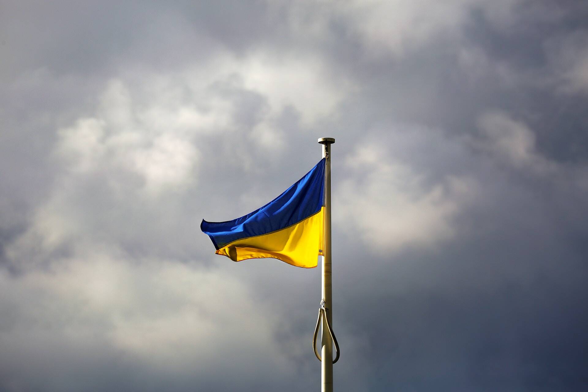 Дипломат Хаас: Украине нужно забыть о потерянных территориях