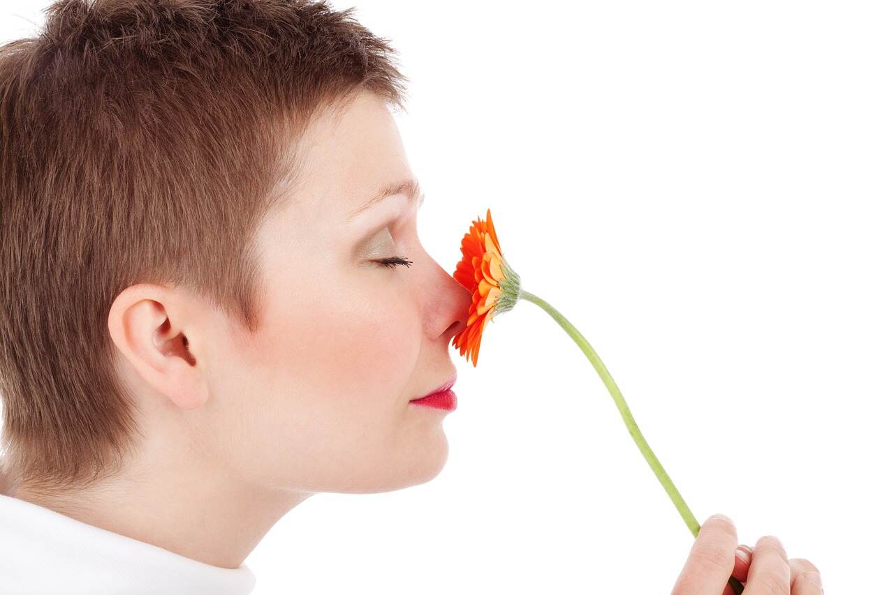 PRSB: Запах противоположного пола может ускорить старение и влиять на смертность