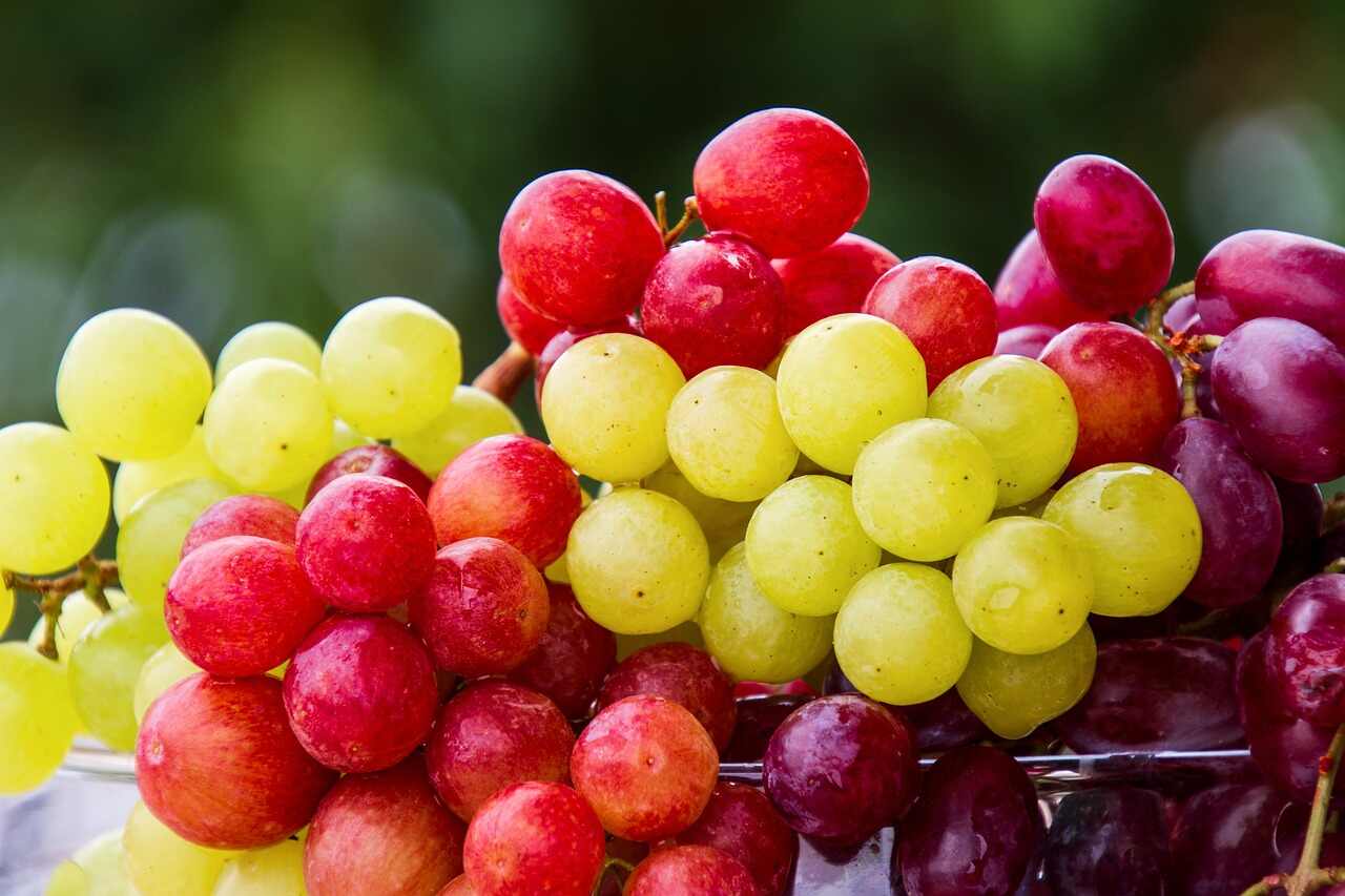 BristolLive: Ученые выявили, что виноград может добавить 5 лет к жизни человека