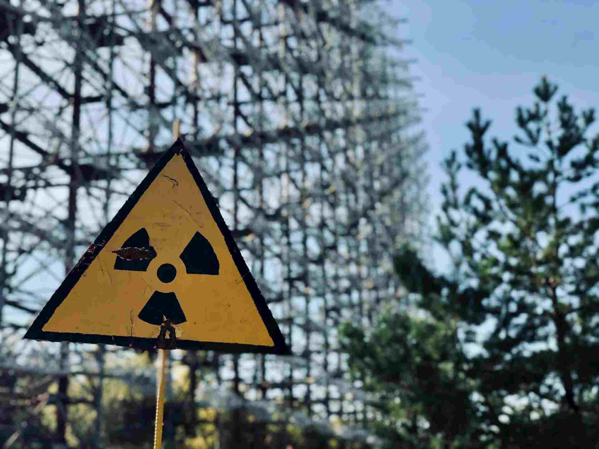 Daily Mail: Чернобыльские черви-нематоды оказались невосприимчивы к радиации