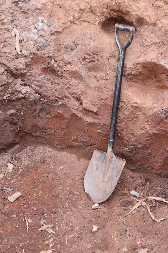 Antiquity: В Ирландии археологами найдены древние «тропы для мертвых»